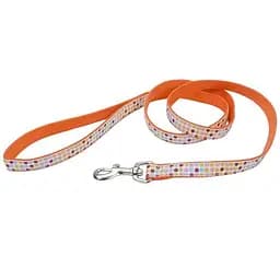 Coastal Pet Attire Ribbon Повідець для собак 1.6см х 1.2м
