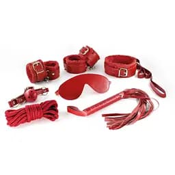 BDSM набор Crushious Dungeons amp; Maidens (красный)