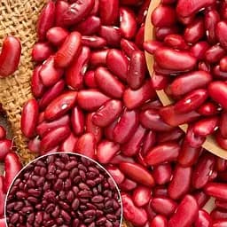 Фасоль "Калинка" ТМ "Весна" 15г (178114)