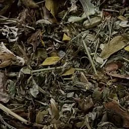 Збір трав'яний при гіпотереозі щитовидної залози, нестачі йоду, 100 г (своє виробництво)