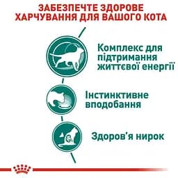 Вологий корм для кішок від 7 років Royal Canin Instinctive шматочки в соусі 1.02 кг (12 шт. х 85 г) - мініатюра 5