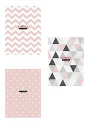 Комплект 3 шт загальних зошитів. Зошит Школярик А4 80 арк. у лінію 5214 4823088229479