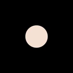 Матуюча розсипчаста пудра Eveline Matt My Day Loose Powder, відтінок Peach, 6 г (LMKLOOSEPOWP) - мініатюра 2