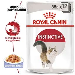 Вологий корм для дорослих кішок Royal Canin Instinctive шматочки в желе 85 г - мініатюра 9