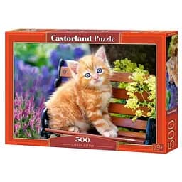 Пазл Castorland puzzle Рыжий котенок, 500 эл. ( B-52240)