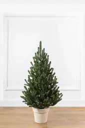 Ялинка штучна в горщику лита Віденська 1.1 м Зелена 