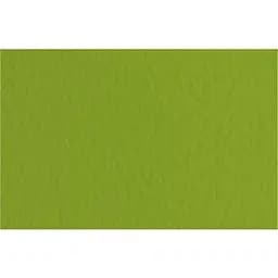 Бумага для пастели Fabriano Tiziano A4 (21х29.7см) №43 pistacch 160г/м2 фисташковое среднее зерно