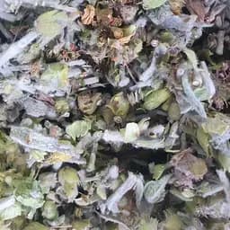 100 г татар-чай/железница/мурсальский чай/лимонник крымский трава сушеная - свежий урожай