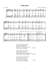 Ой, верше, мій верше - мініатюра 2