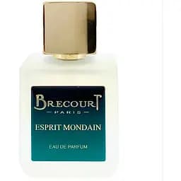 Парфумована вода Brecourt Esprit Mondain 74 мл