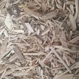 100 г элеутерококк колючий корень сушеный - свежий урожай