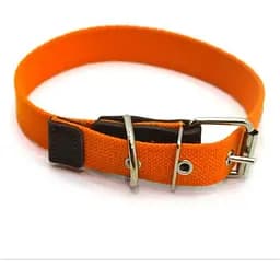 Нашийник для собак Zoo-hunt брезентовий 2,5 см 33-44 см помаранчевий