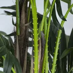Штучна рослина Engard Cycas Palm 150 см (DW-23) - мініатюра 3