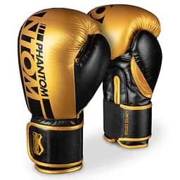 Боксерские перчатки Phantom 16 унций fit0011755