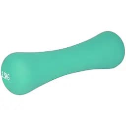 Гантель неопренова PowerPlay 4126 Spartacus 2.5 кг м'ятна (15279)