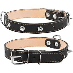 Ошейник для собак Collar двойной с шипами (4820082491888)