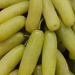 Саженец Agro-Market Виноград Банановые ножки (ранний, большой, сладкий) 1 шт. в упаковке (153453)