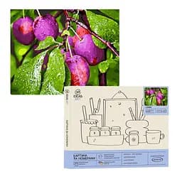 Набір для розпису по номерах "Сливи" 40*50 см