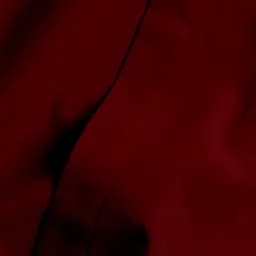 Комплект постільної білизни Cosas Ruby Євро варена бавовна бордо (79WashedCotton_Bordo_El-Bordo_200) - мініатюра 7