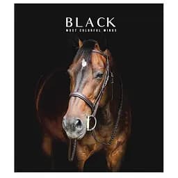 Зошит учнівський "Black" 096-3388L-1 в лінію, 96 аркушів