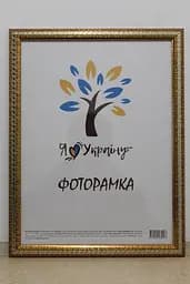 Фоторамка 30х42, золота зі срібною змійкою, 2416-261S, СКЛО + ДВП                                                                                                                                                                                                                                                                                                                                                                                                                     