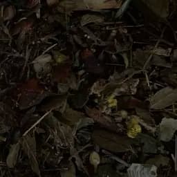 Збір трав'яний при сечокам'яній хворобі від каменів у нирках, 100 г, (Своє виробництво)