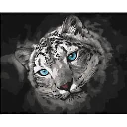 Картина по номерам Ideyka Небесный взгляд KHO4306 40х50 см