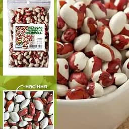 Квасоля "Червона шапочка" ТМ "Весна" 100г (24115)