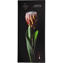 Вібратор-мікрофон SYL Love Protea 26 режимів роботи bordeaux