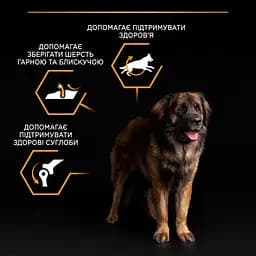 Сухий корм для дорослих собак великих порід Purina Pro Plan Large Robust Adult з куркою 14 кг (12375799) - мініатюра 8