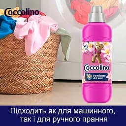 Кондиціонер для білизни Coccolino Perfume & Care Квітка тіаре червоні фрукти жасмин та ваніль 925 мл (64894928) - мініатюра 6
