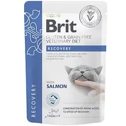 Вологий корм для котів Brit VetDiet GF Recovery з лососем 85 г