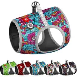 Шлейка для собак мягкая Waudog Clothes с QR паспортом рисунок Лето XS3 В 32-35 см С 22-24 см