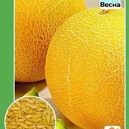 Дыня "Дубовка" ТМ "Весна" 1.5г (10129)