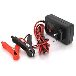 Автоматичне ЗУ для акумулятора RJTianye 6V/12V,100-240V,2A,клеми(AGM/GEL,Lead)