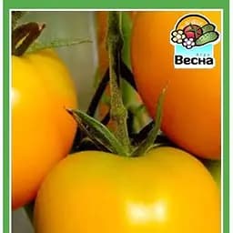 Семена Весна Томат Воловое сердце желтое 0.1 г (10542)