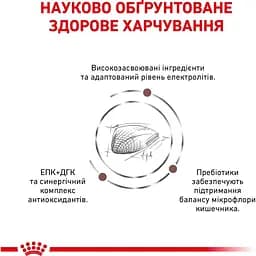 Сухий корм для котів Royal Canin Gastrointestinal при порушеннях травлення 2 кг - мініатюра 5