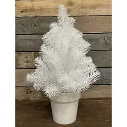 Ялинка Hvoya Premium лита у горщику 50 см біла