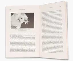 Karl Lagerfeld: A Life in Fashion - мініатюра 5