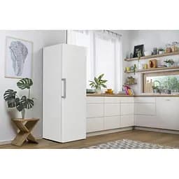 Холодильна камера Gorenje R619EEW5 - мініатюра 2