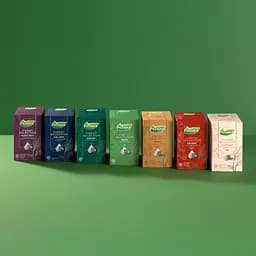 Уцінка. Чай зелений Pickwick Finest Selection Green 25х2г - мініатюра 7