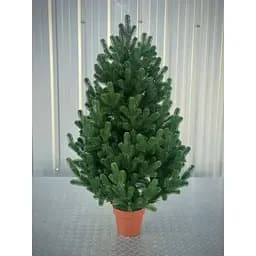 Ялинка Hvoya Traditional лита в горщику 90 см зелена новинка