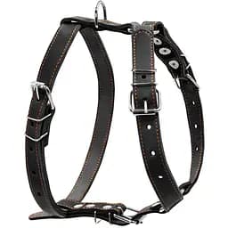 Шлея для собак Collar одинарна, шкіра, 49-68х68-80х2,5 см, чорний (6381)