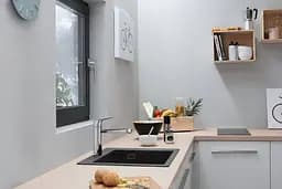 Кухонна мийка Hansgrohe S510-F450 560x510 Stonegrey 43312290, Сірий - мініатюра 3