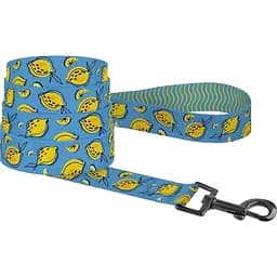 Повідець для собак Barksi BronzeDog Urban FRUITS Лимони M