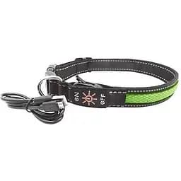 Нашийник для собак AnimAll LED L 2,5/50-60 см, зелений