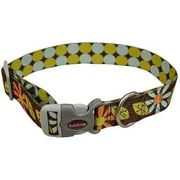 Нашийник для собак Coastal Sublime 3,8 x 46-66 см (23921_DSD26)