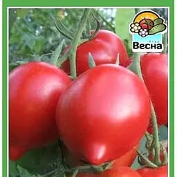 Семена Весна Томат Юбилейный Тарасенко 0.1 г (10525)