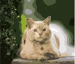 Набор для росписи по номерам Кот на отдыхе, Strateg, 40x50 см, DY182