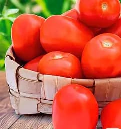 Насіння Весна на вагу Томат Зореслав ціна за 1 г (178412)